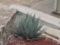 image01