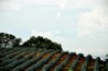 image01